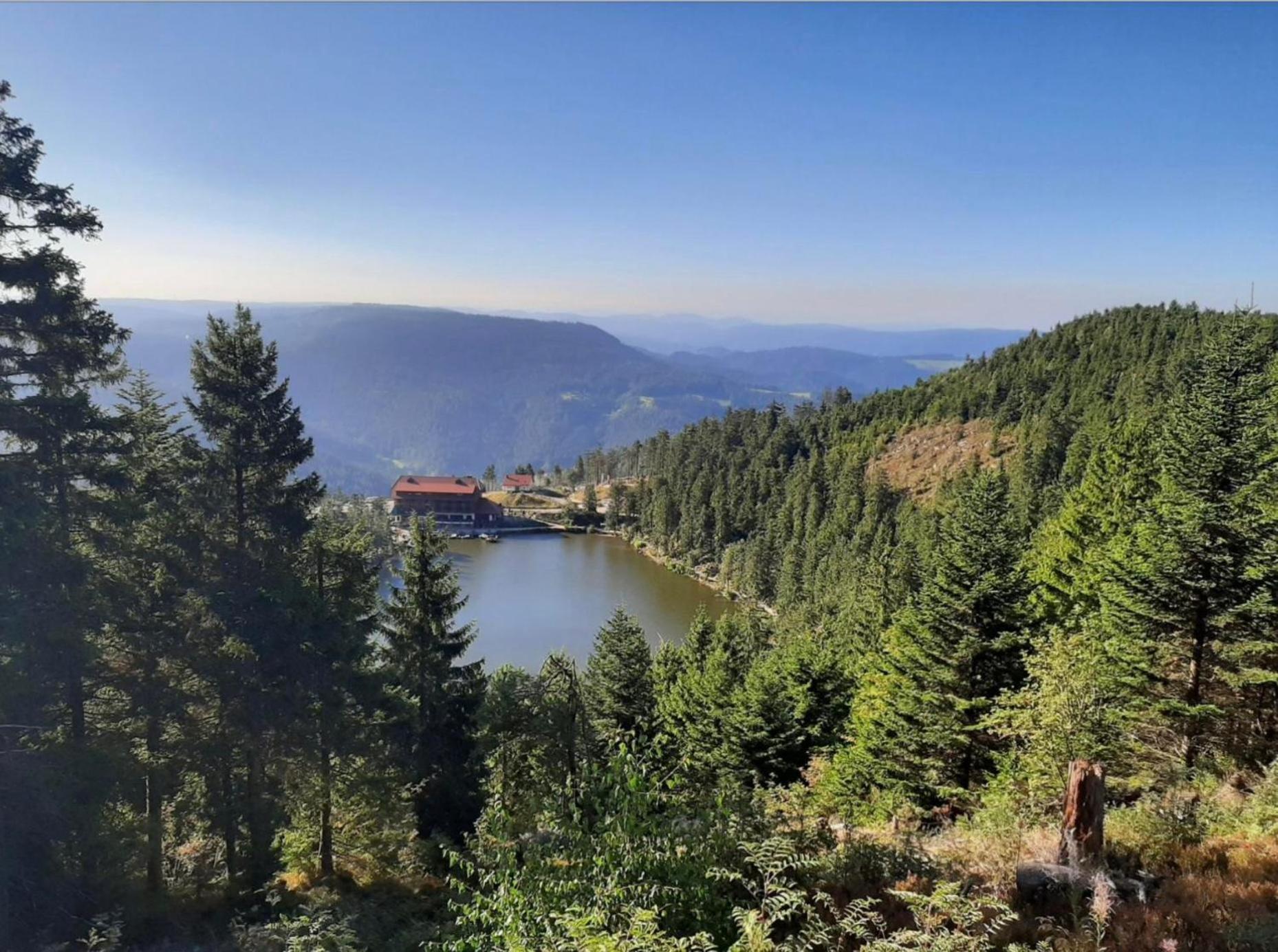 Ferienwohnung Schwarzwald Tannenzaepfle Baiersbronn Buitenkant foto