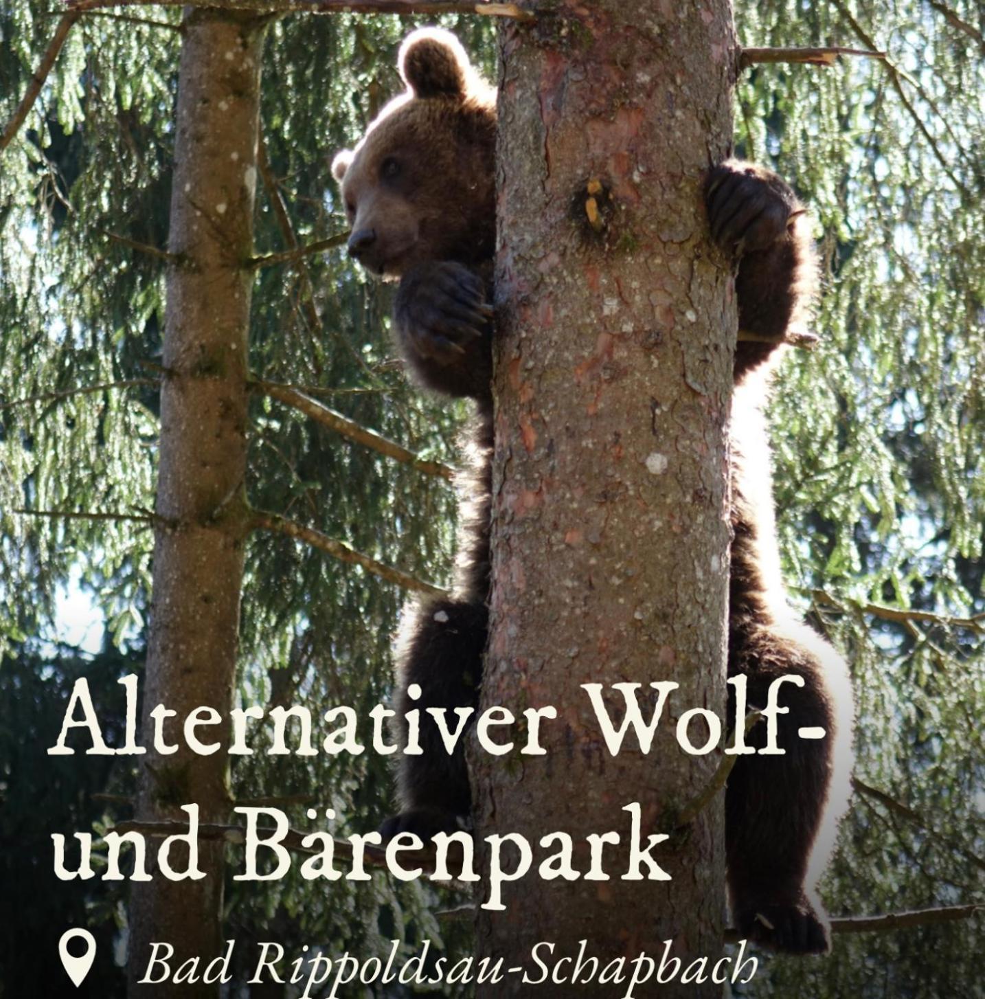 Ferienwohnung Schwarzwald Tannenzaepfle Baiersbronn Buitenkant foto