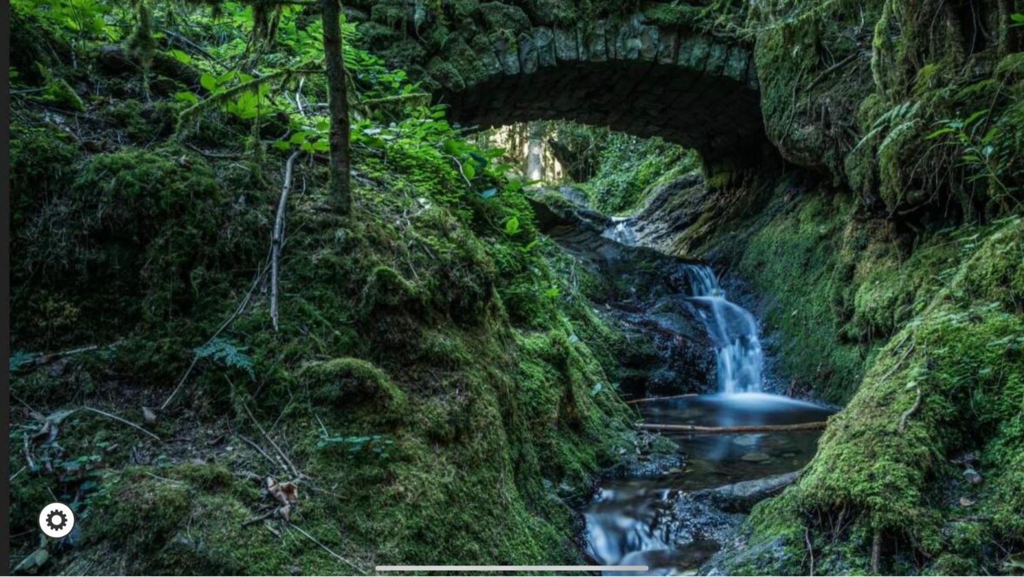 Ferienwohnung Schwarzwald Tannenzaepfle Baiersbronn Buitenkant foto